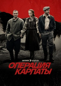 Операция «Карпаты» (2024)